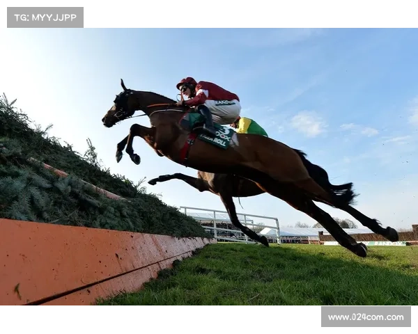 赛马障碍赛事屏;赛马比赛